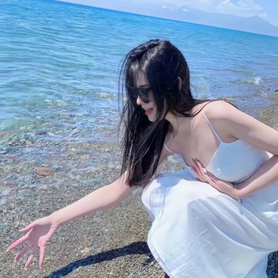 木材宝藏狗